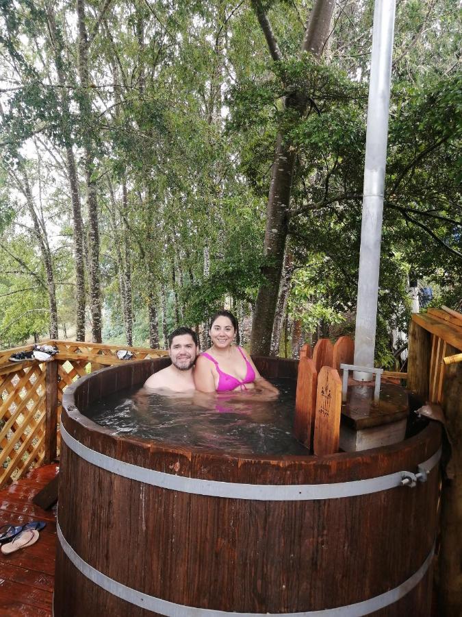 Cabanas Huilipan Gonzalez Nueva Imperial Εξωτερικό φωτογραφία