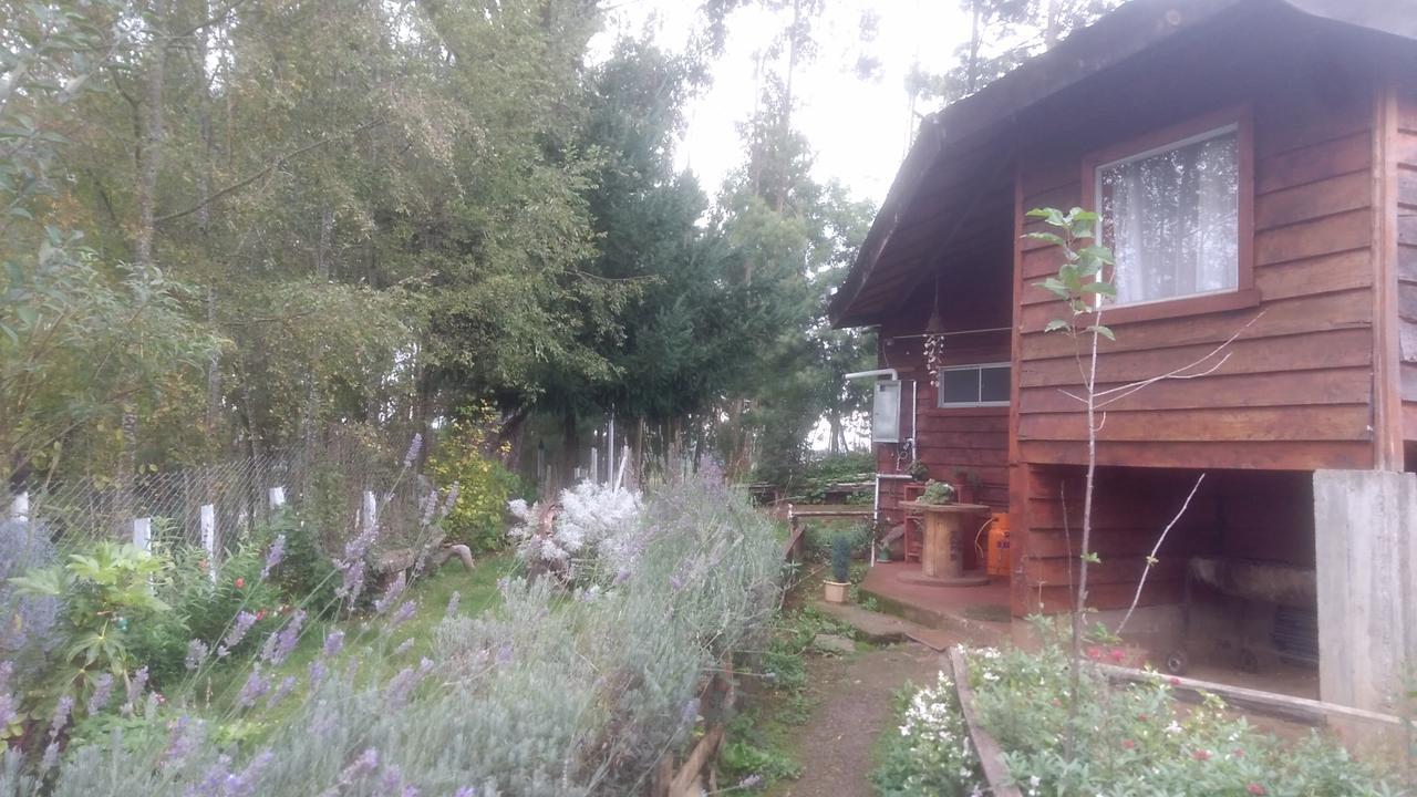 Cabanas Huilipan Gonzalez Nueva Imperial Εξωτερικό φωτογραφία