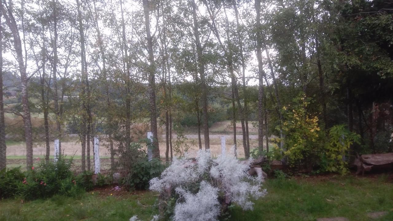 Cabanas Huilipan Gonzalez Nueva Imperial Εξωτερικό φωτογραφία